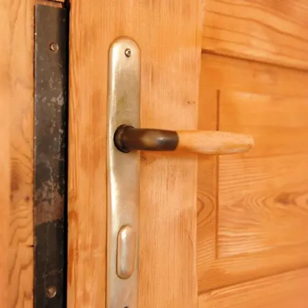 Holzmeister *