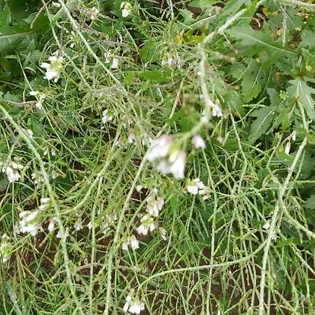 Holzmeister Séjour à la ferme Sankt Jakob in Haus