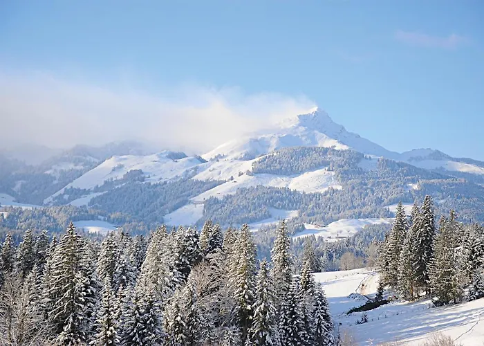 Holzmeister Bauernhof St. Jakob in Haus