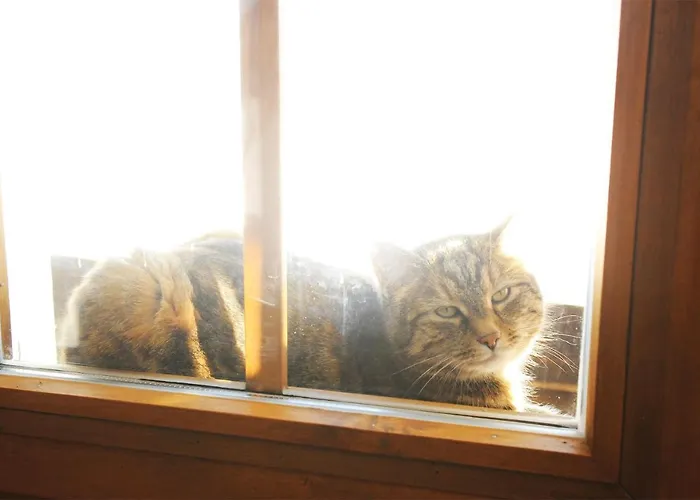 Holzmeister * St. Jakob in Haus