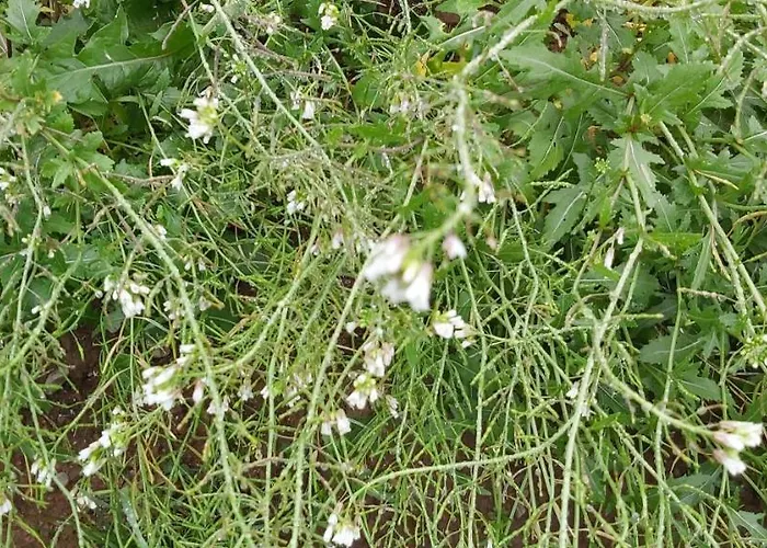 Holzmeister Bauernhof St. Jakob in Haus