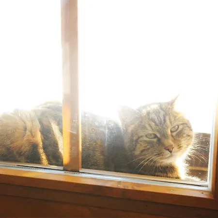 Holzmeister * Санкт-Якоб-ин-Хаус